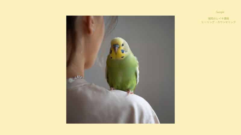 インコと飼い主の絆を結ぶレイキイメージ