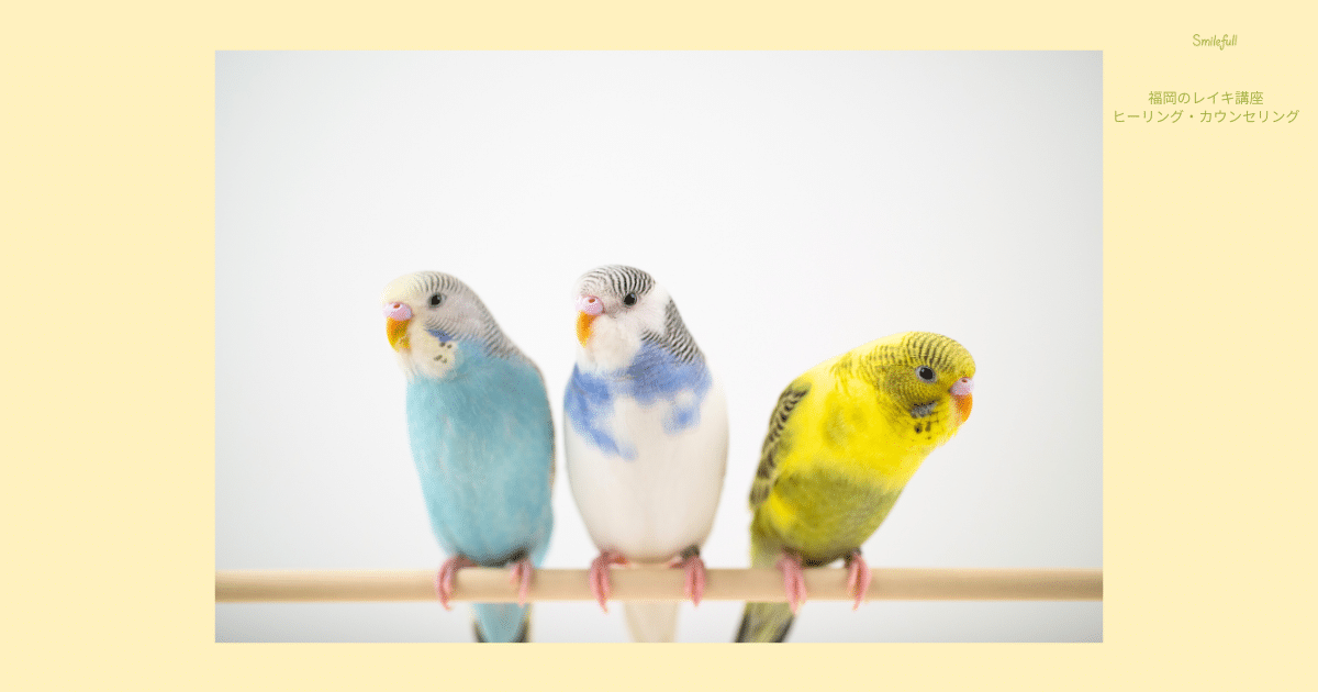 レイキヒーリングとインコの記事